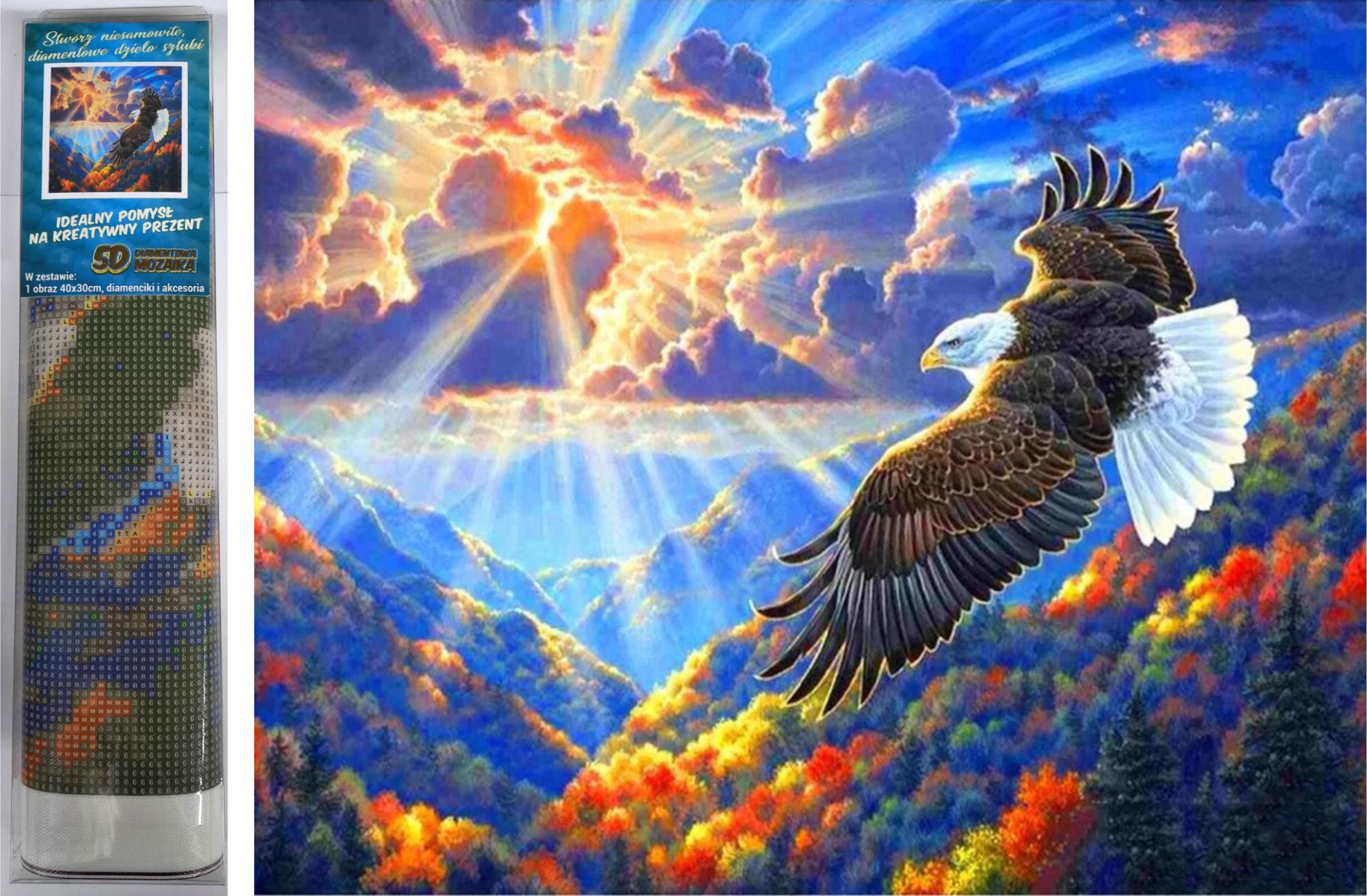 NORIMPEX Majestátny dravec 30 × 40 cm