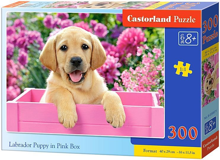 Castorland Labrador v růžovém boxu 300 dílků