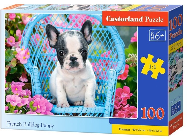 Castorland Štěně francouzského buldočka 100 dílků
