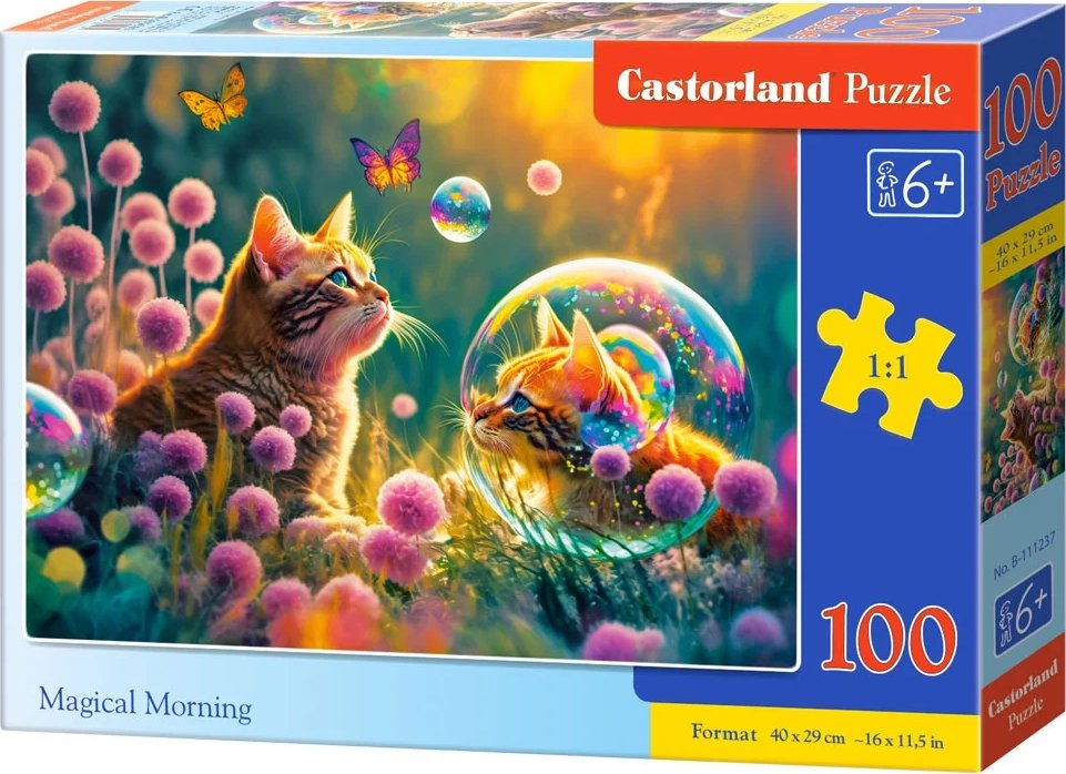 Castorland Kouzelné ráno 100 dílků