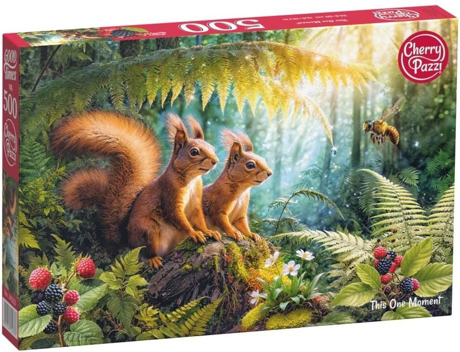 Cherry Pazzi Ten okamžik 500 dílků