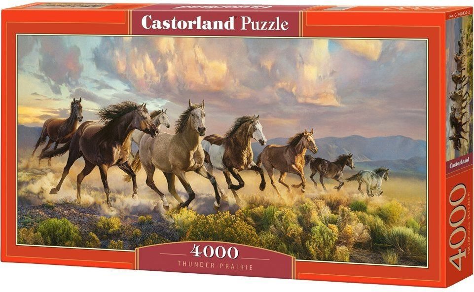 Castorland Dunící prérie 4000 dílků