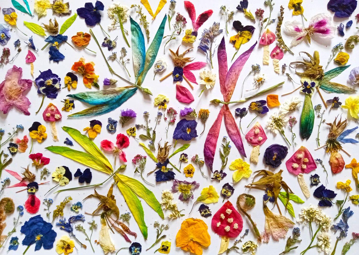 ENJOY Puzzle Víly a vážky 1000 dílků
