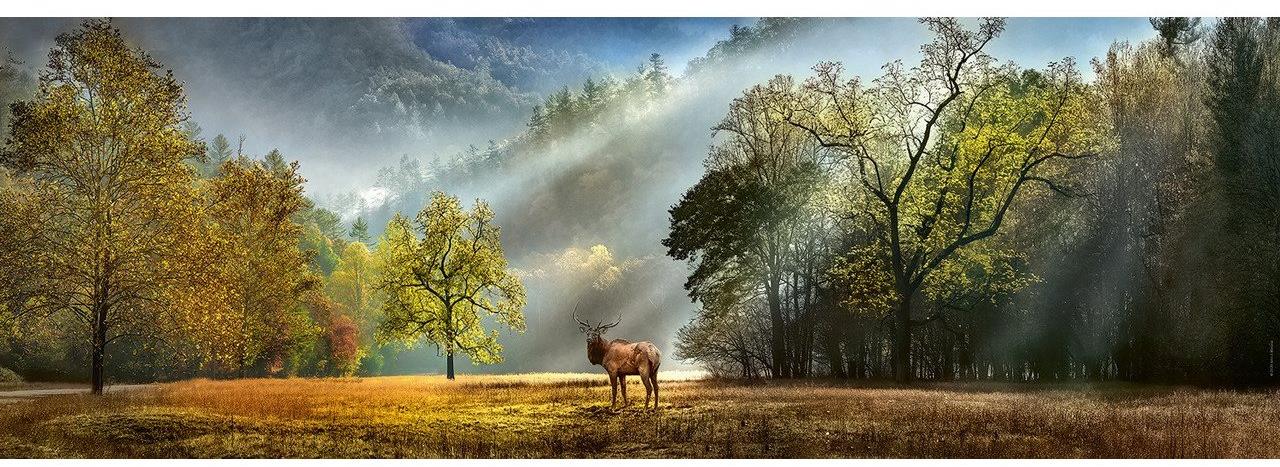 HEYE Panoramatické puzzle Ranný pozdrav 1000 dielikov