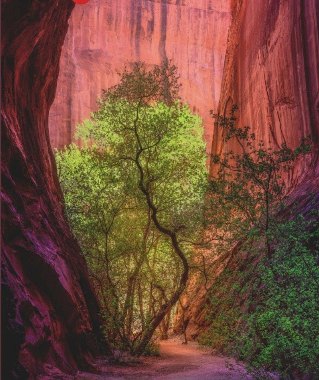 HEYE Puzzle Power of Nature: Spievajúci kaňon 1000 dielikov