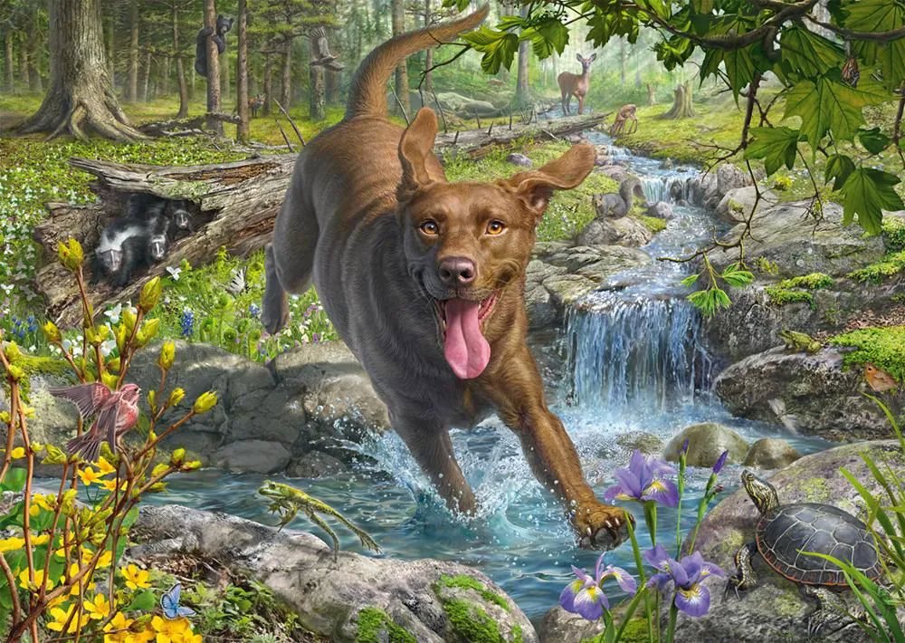 Schmidt Retriever na jar 1000 dielikov