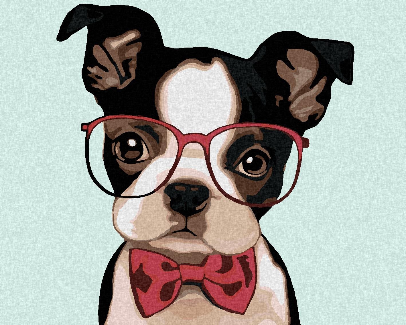 Diamondi – BULDOG S OKULIARMI, 40 × 50 cm, napnuté plátno na ráme