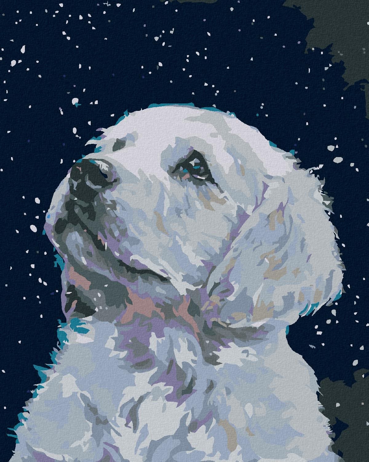 Diamondi – BIELE ŠTENIATKO, 40 × 50 cm, napnuté plátno na ráme