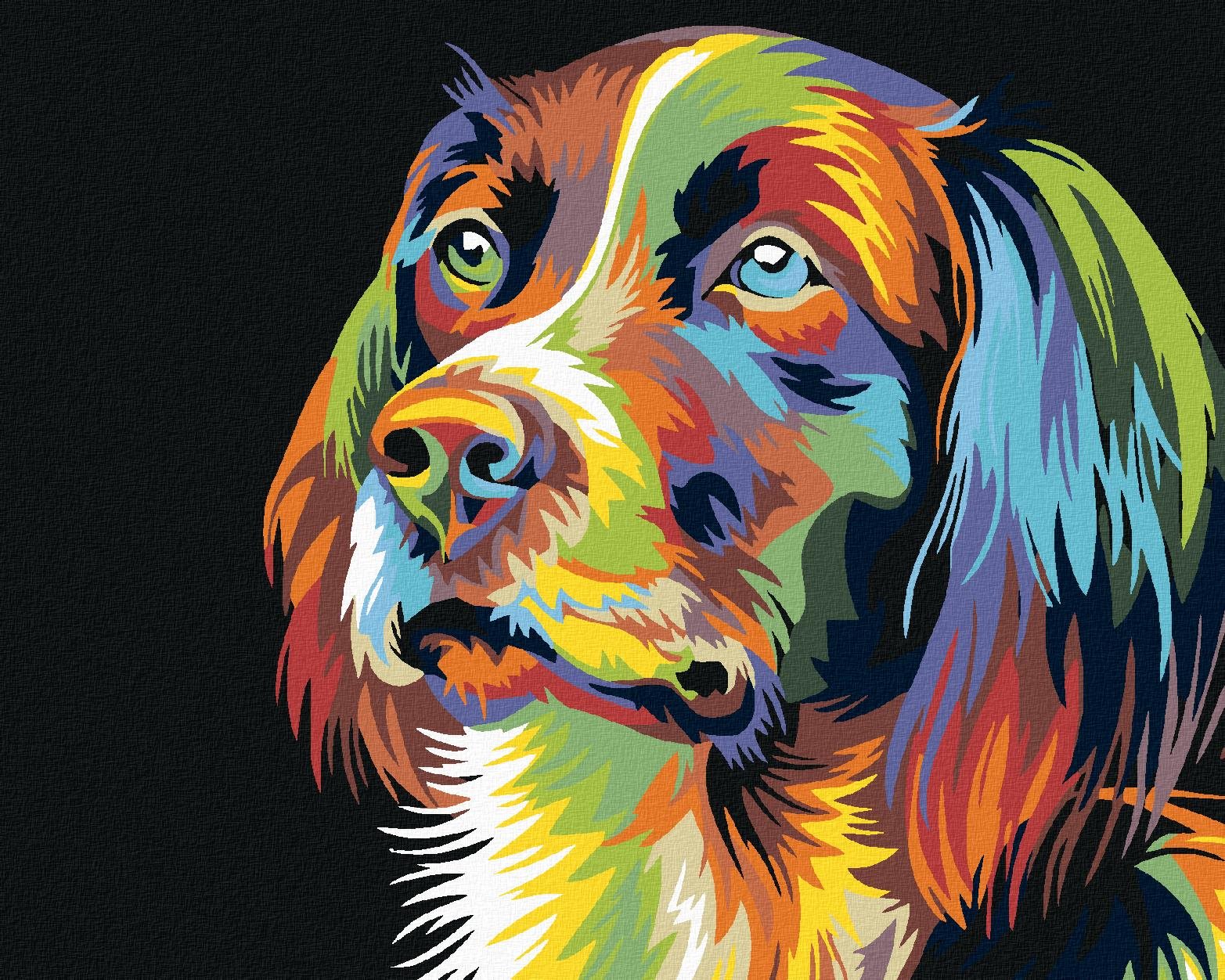 Diamondi – PES, 40 × 50 cm, bez rámu a bez napnutia plátna
