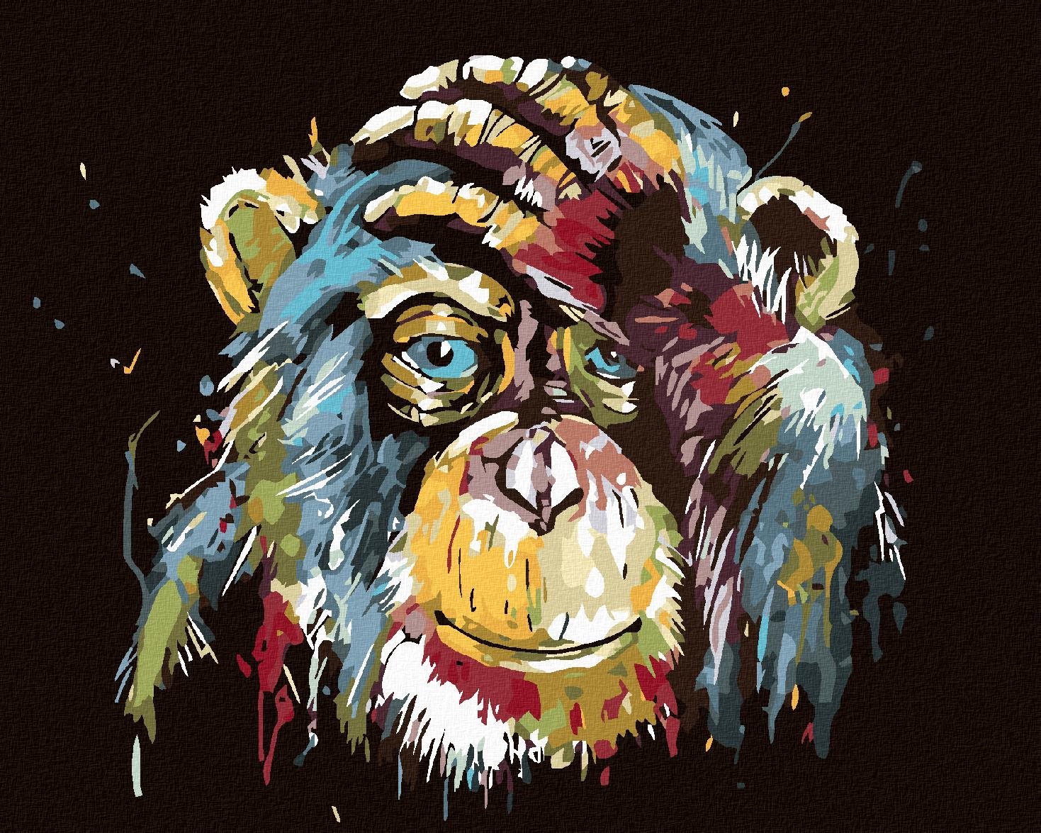 Diamondi – OPICA, 40 × 50 cm, bez rámu a bez napnutia plátna