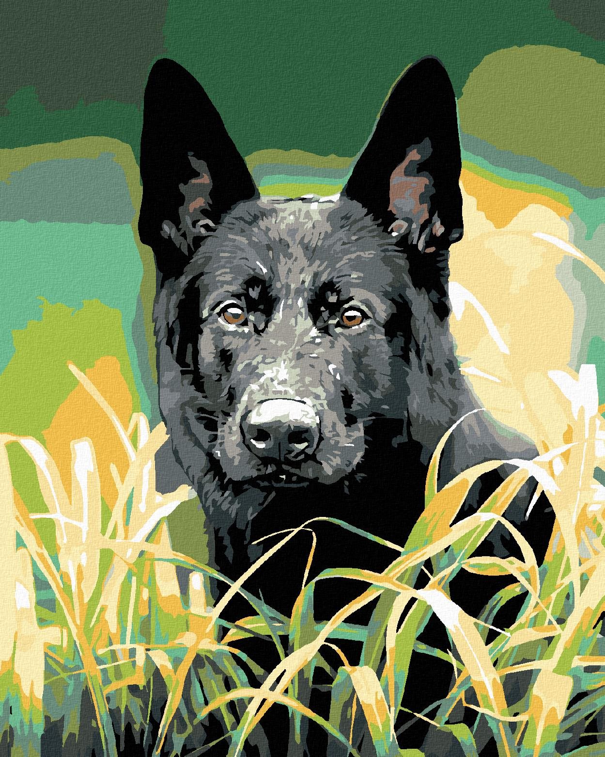 Diamondi – NEMECKÝ OVČIAK V TRÁVE, 40 × 50 cm, bez rámu a bez napnutia plátna