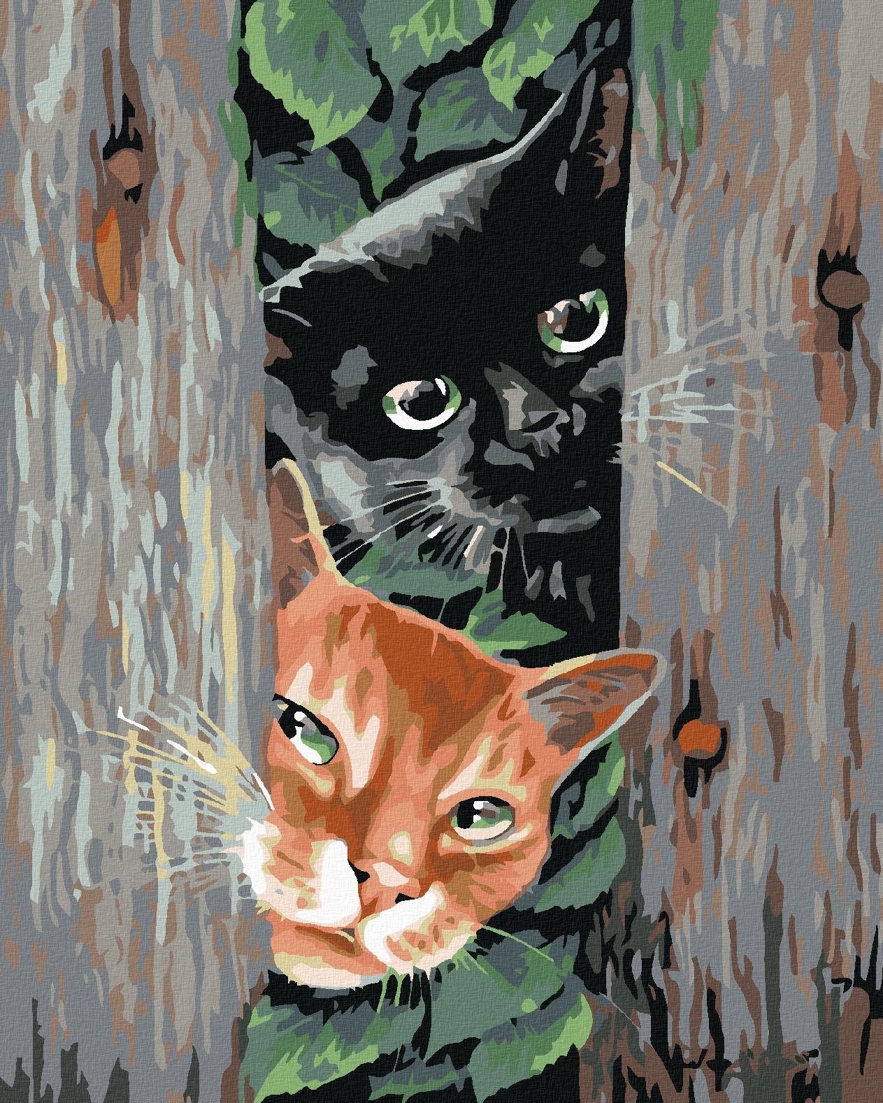 Diamondi – ČÍHAJÚCE MAČKY, 40 × 50 cm, bez rámu a bez napnutia plátna
