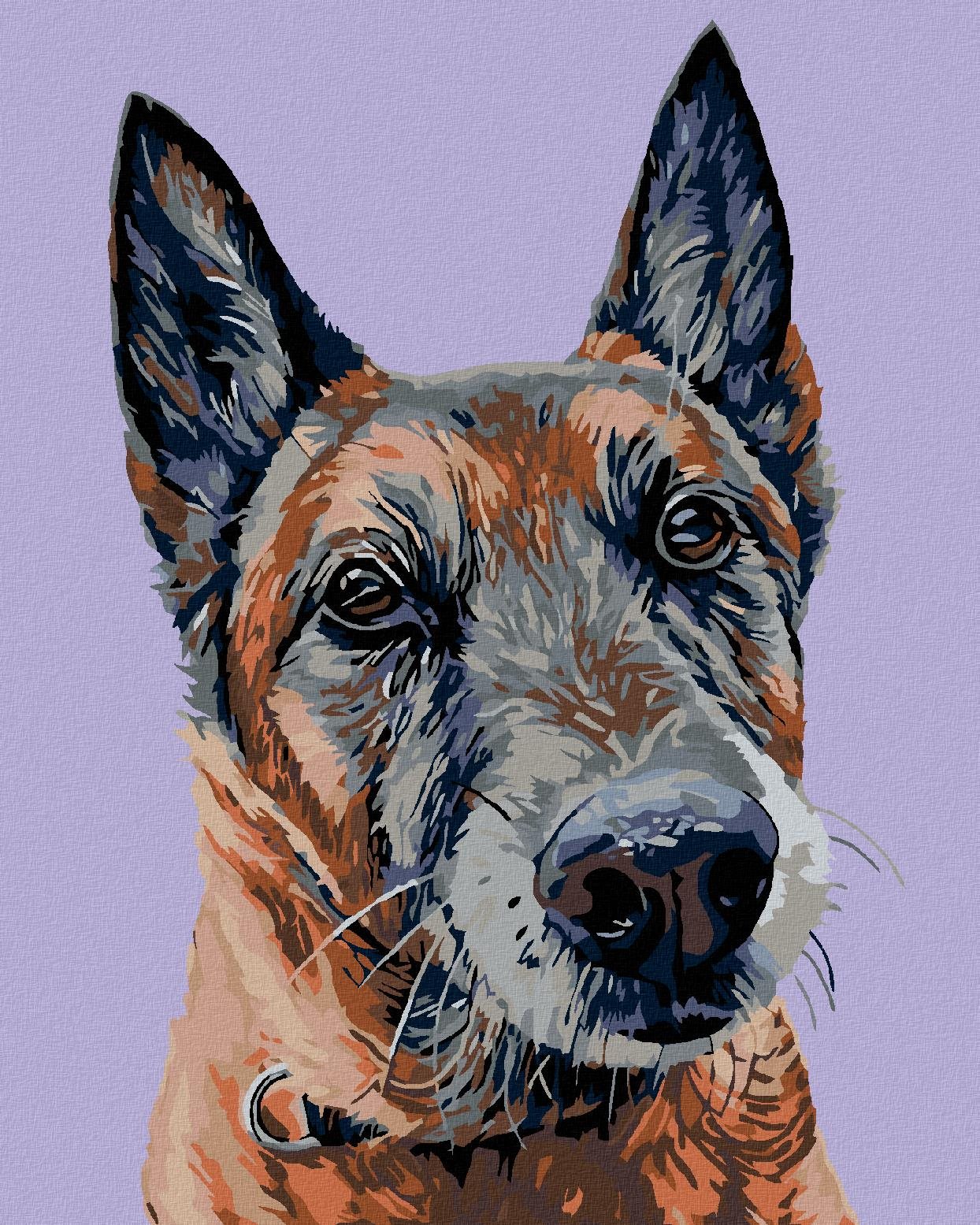 Diamondi – STARÝ VLČIAK, 40 × 50 cm, napnuté plátno na rám