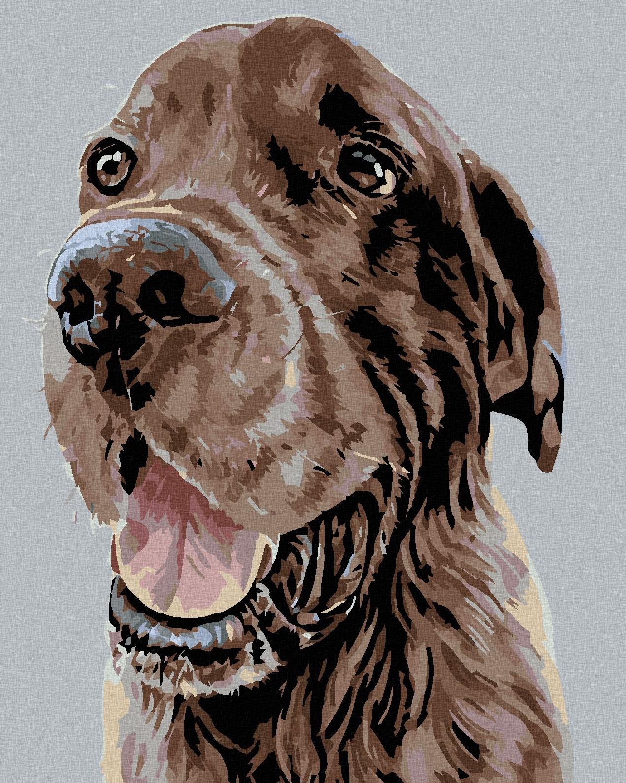 Diamondi – KRÁSNY HNEDÝ SETER, 40 × 50 cm, vypnuté plátno na rám