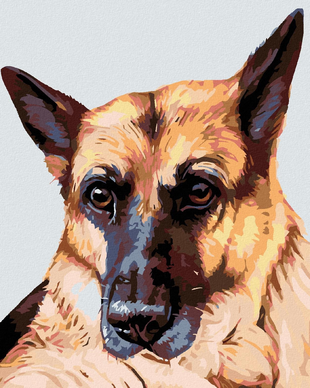 Diamondi – VLČIAK, 40 × 50 cm, vypnuté plátno na rám