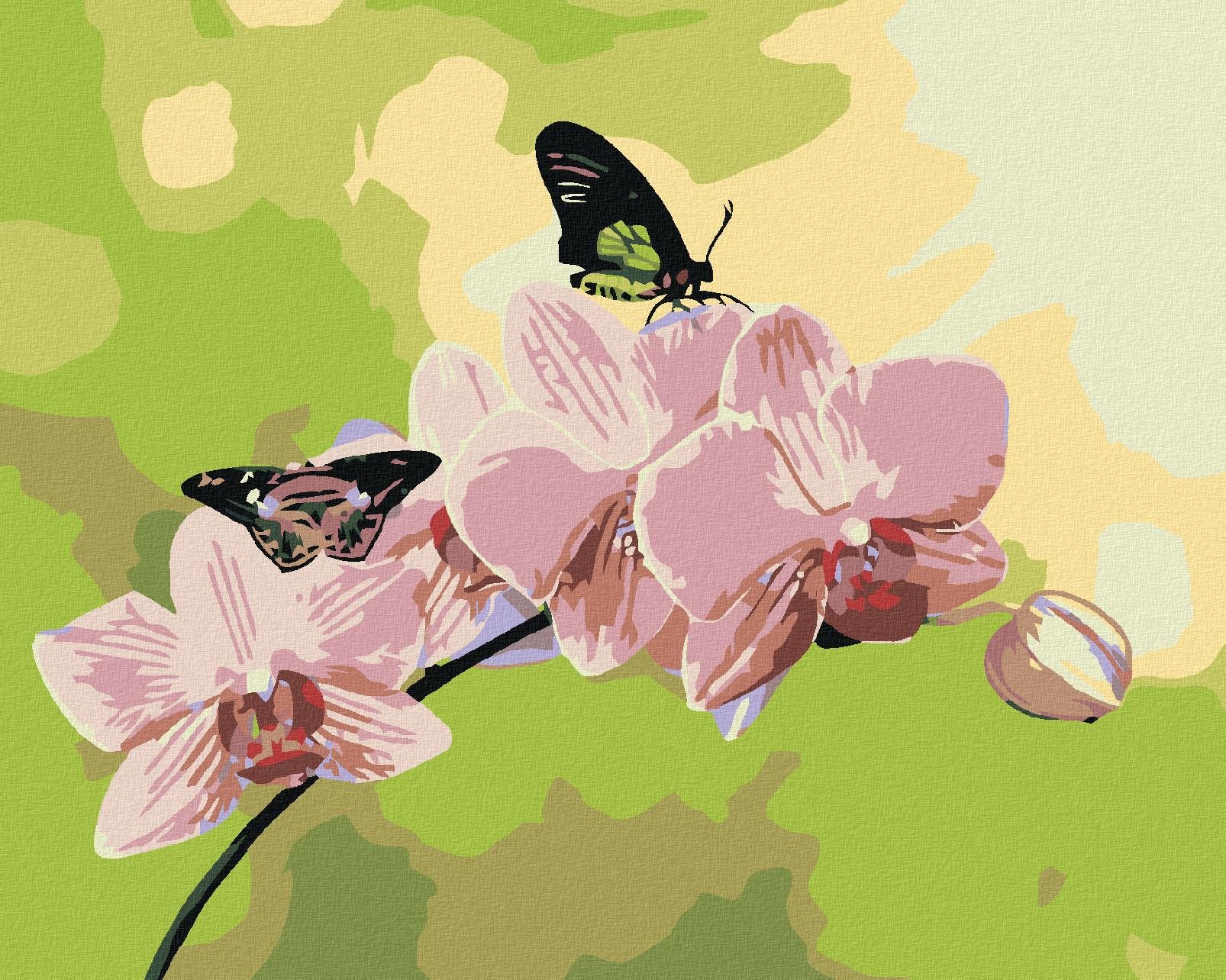 Diamondi – ORCHIDEA S MOTÝLIKMI, 40 × 50 cm, bez rámu a bez napnutia plátna