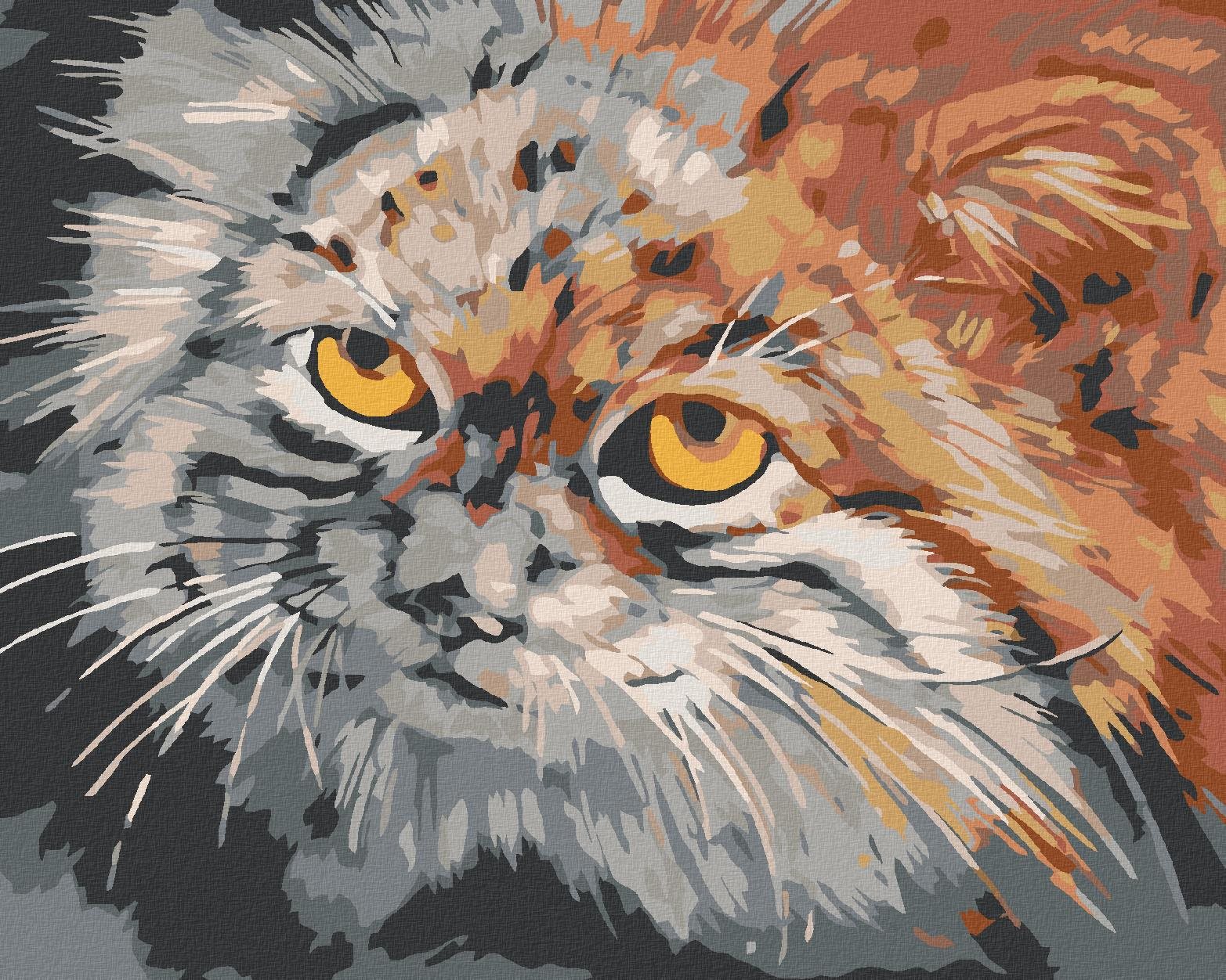 Diamondi – SIVOHNEDÁ MAČKA, 40 × 50 cm, napnuté plátno na rám