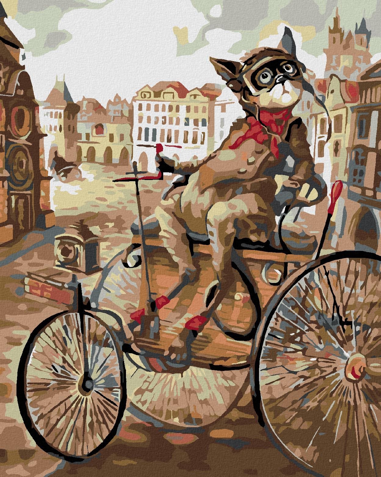 Diamondi – KOCÚR NA TROJBICYKLI, 40 × 50 cm, napnuté plátno na rám