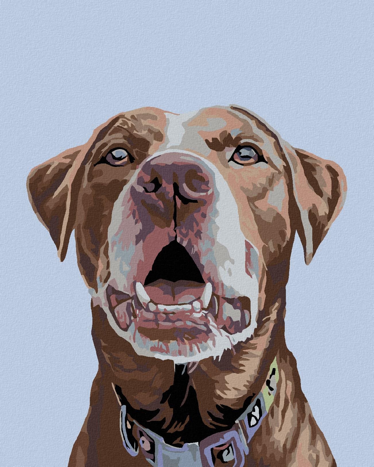 Diamondi – HNEDÝ LABRADOR, 40 × 50 cm, bez rámu a bez napnutia plátna