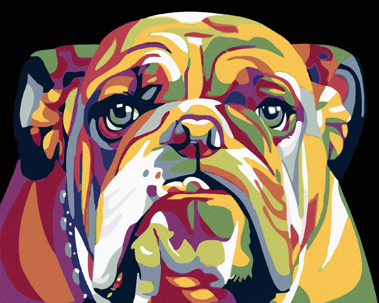 Diamondi – BULDOG, 40 × 50 cm, vypnuté plátno na rám