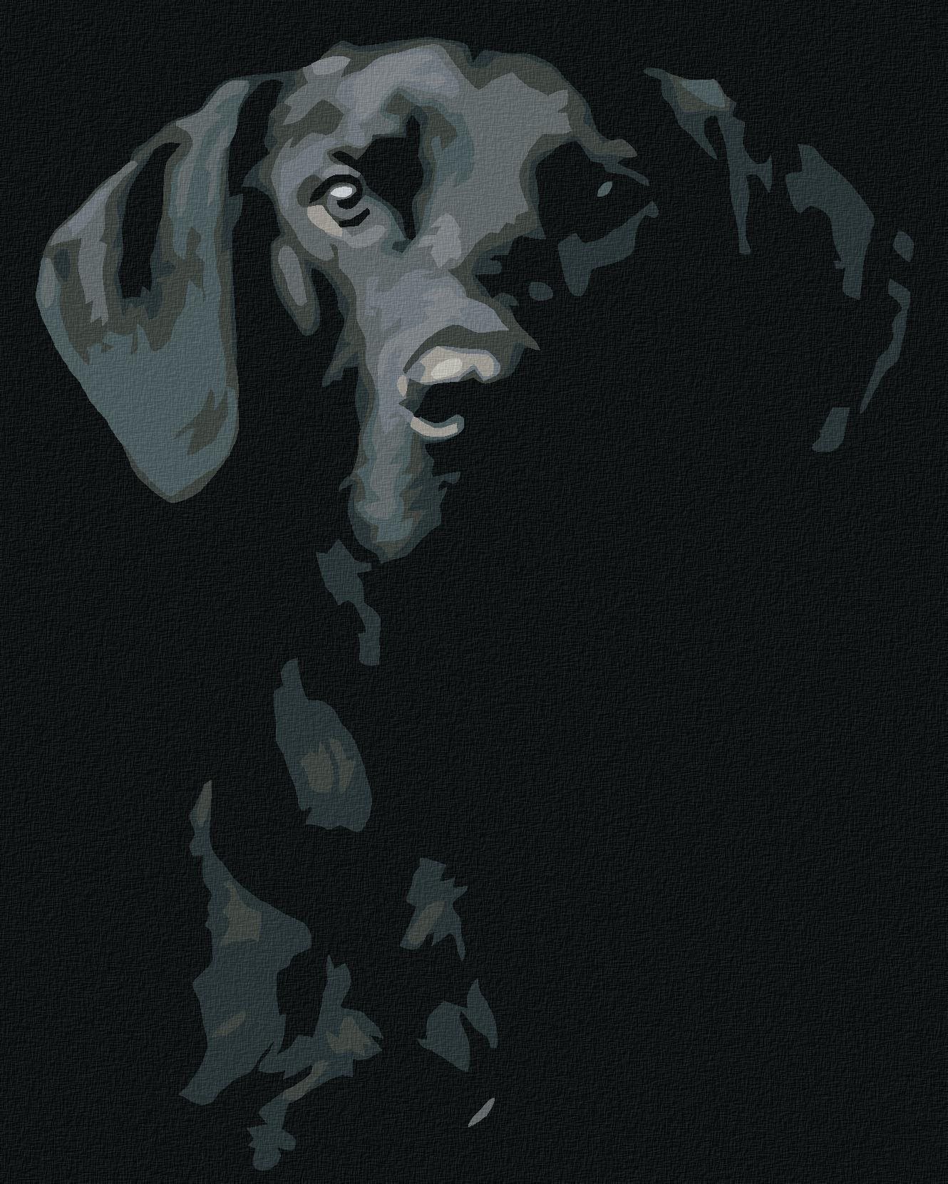 Diamondi – Diamantové maľovanie – ČIERNO-BIELY PES, 40 × 50 cm, vypnuté plátno na rám