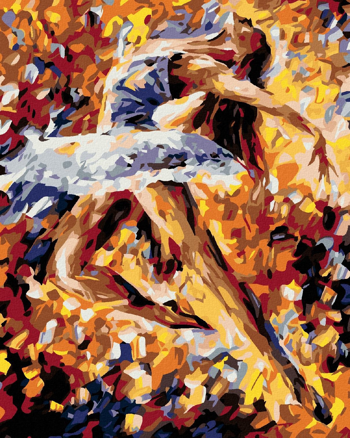 Diamondi – KRÁSNA BALETKA VO FARBÁCH, 40 × 50 cm, bez rámu a bez napnutia plátna
