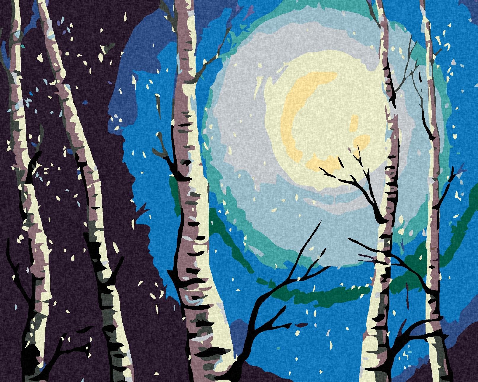 Diamondi – BREZY, MESIAC A PADAJÚCI SNEH, 40 × 50 cm, bez rámu a bez napnutia plátna