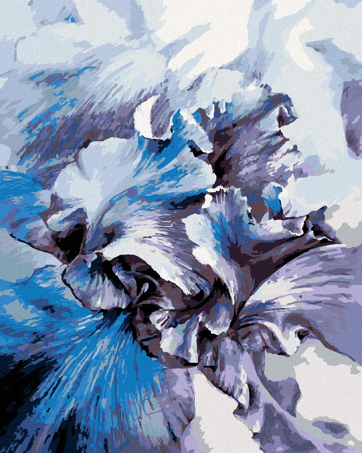 Diamondi – Diamantové maľovanie – MODRÉ KOSATCE, 40 × 50 cm, vypnuté plátno na rám