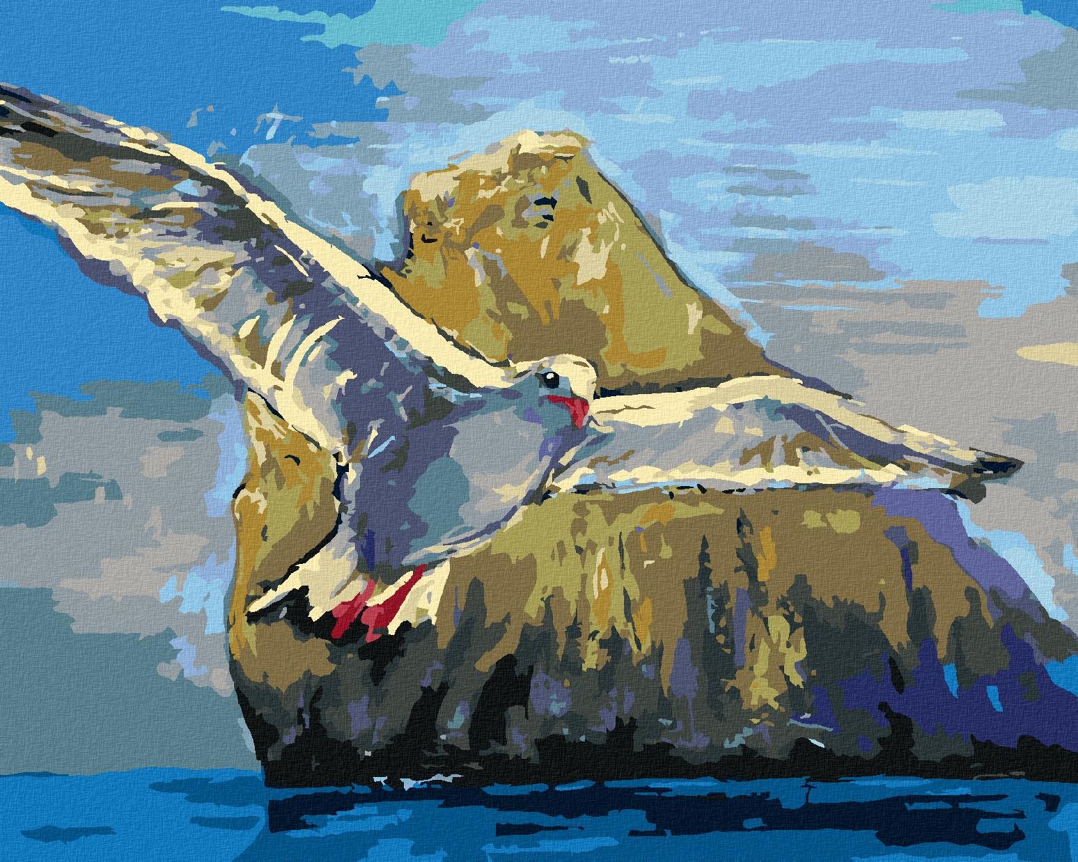 Diamondi – ČAJKA LETIACA NAD SKALOU, 40 × 50 cm, bez rámu a bez napnutého plátna