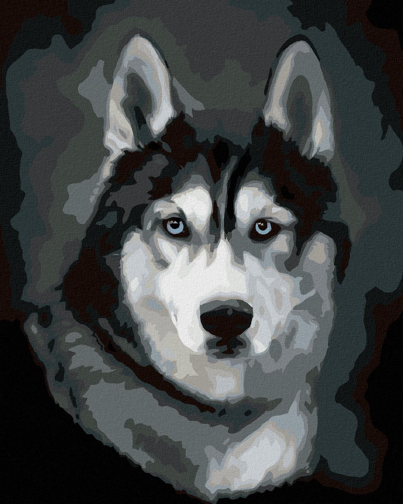 Diamondi – Diamantové maľovanie – HUSKY PORTRÉT, 40 × 50 cm, napnuté plátno na rám