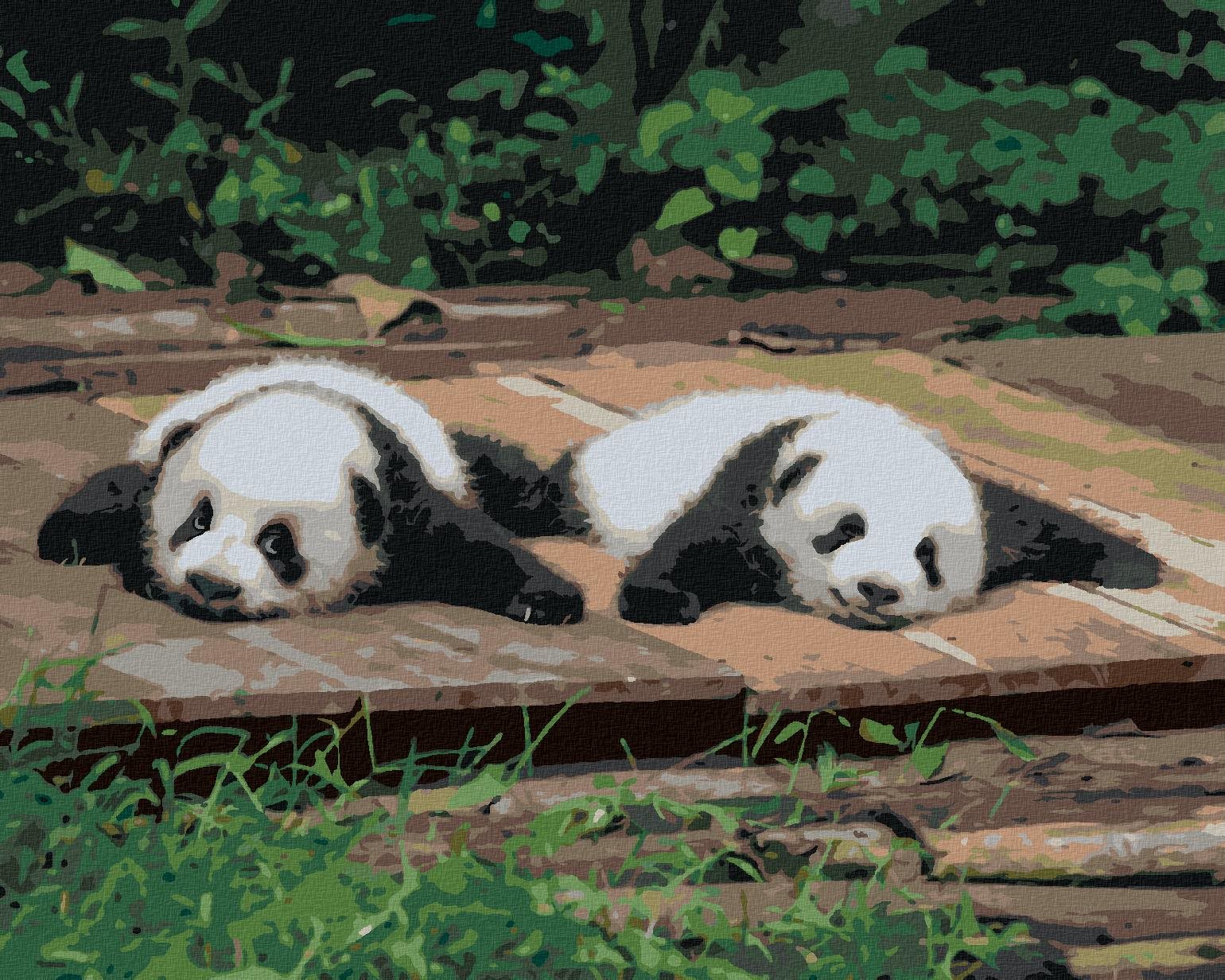 Diamondi – PANDA LEŽIACA NA DREVE, 40 × 50 cm, bez rámu a bez napnutia plátna