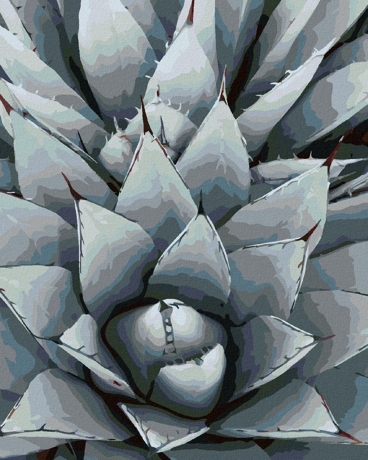 Diamondi – KAKTUS AGÁVA, 40 × 50 cm, napnuté plátno na rám