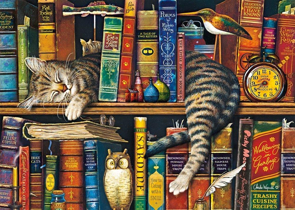 Schmidt Puzzle Frederick gramotný 1000 dielikov