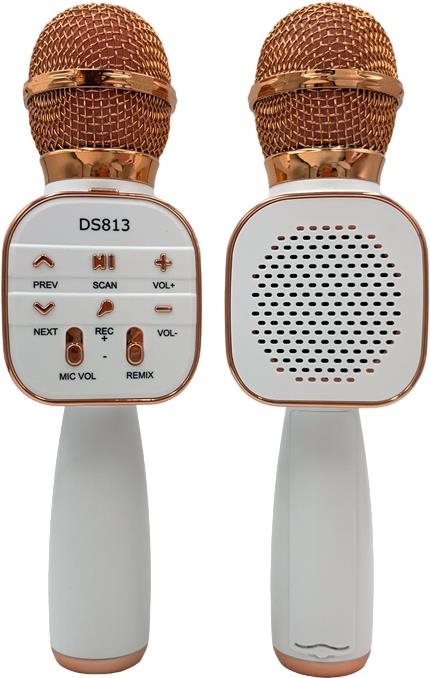 Eljet Star Karaoke Rose Gold