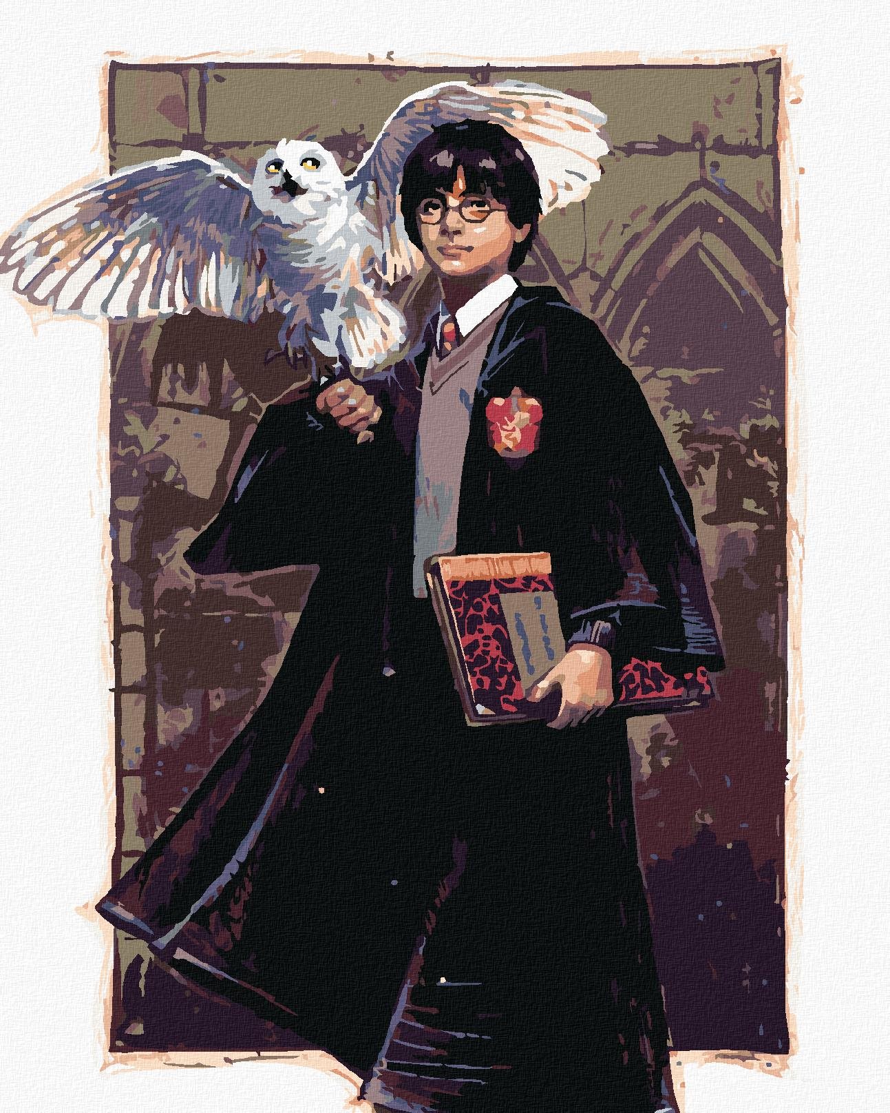 Zuty – Harry Potter a Hedviga v Rhokforhte, 40×50 cm, bez rámu a bez vypnutia plátna
