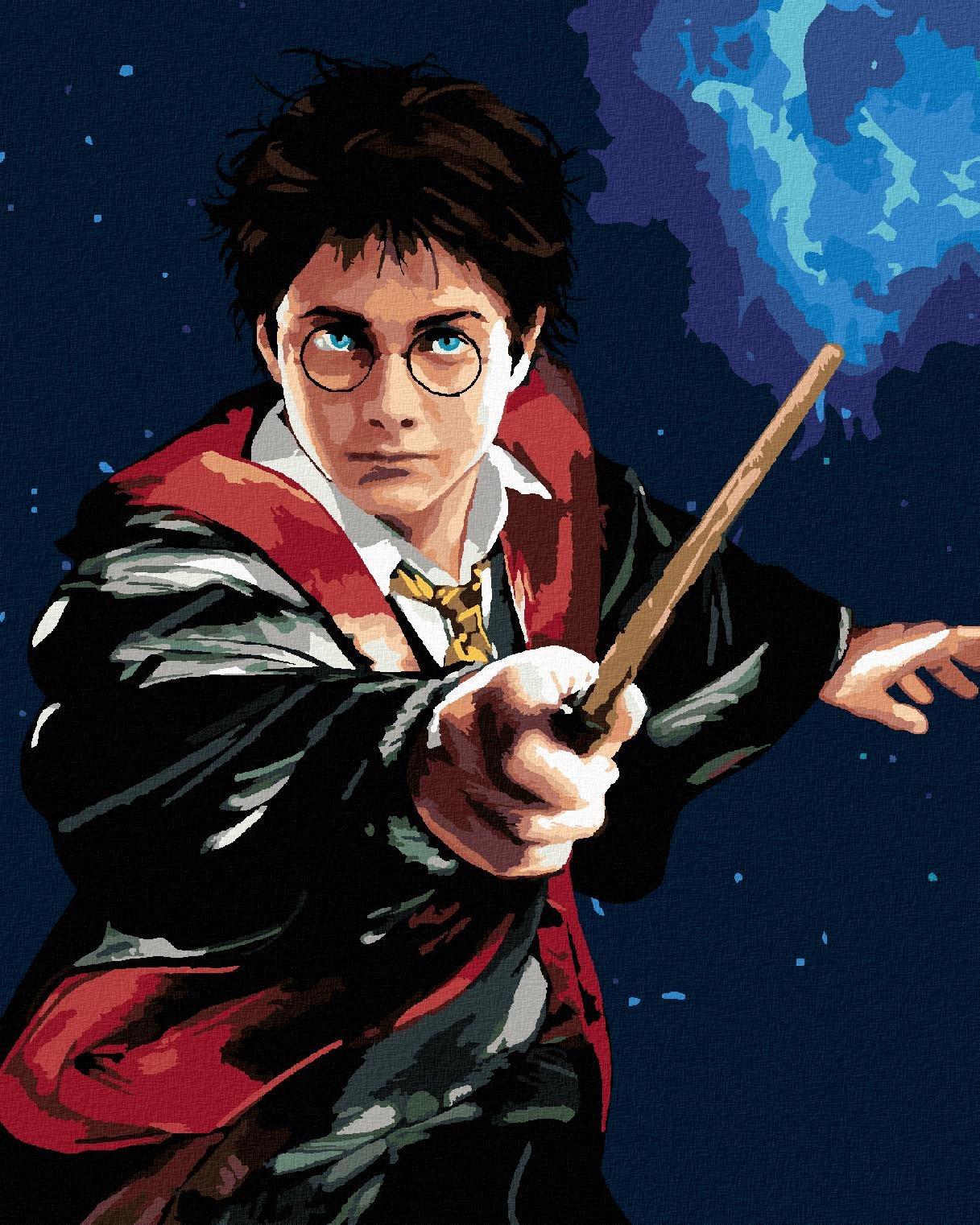 Zuty – Harry Potter a prútik, 40 × 50 cm, bez rámu a bez napnutia plátna