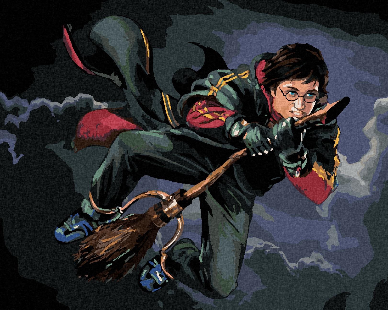 Zuty – Harry Potter na metle, 40 × 50 cm, bez rámu a bez napnutia plátna