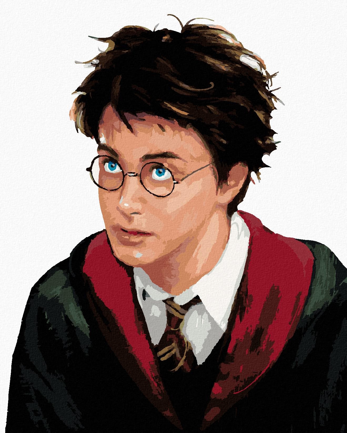 Zuty – Harry Potter portrét, 40 × 50 cm, bez rámu a bez napnutia plátna