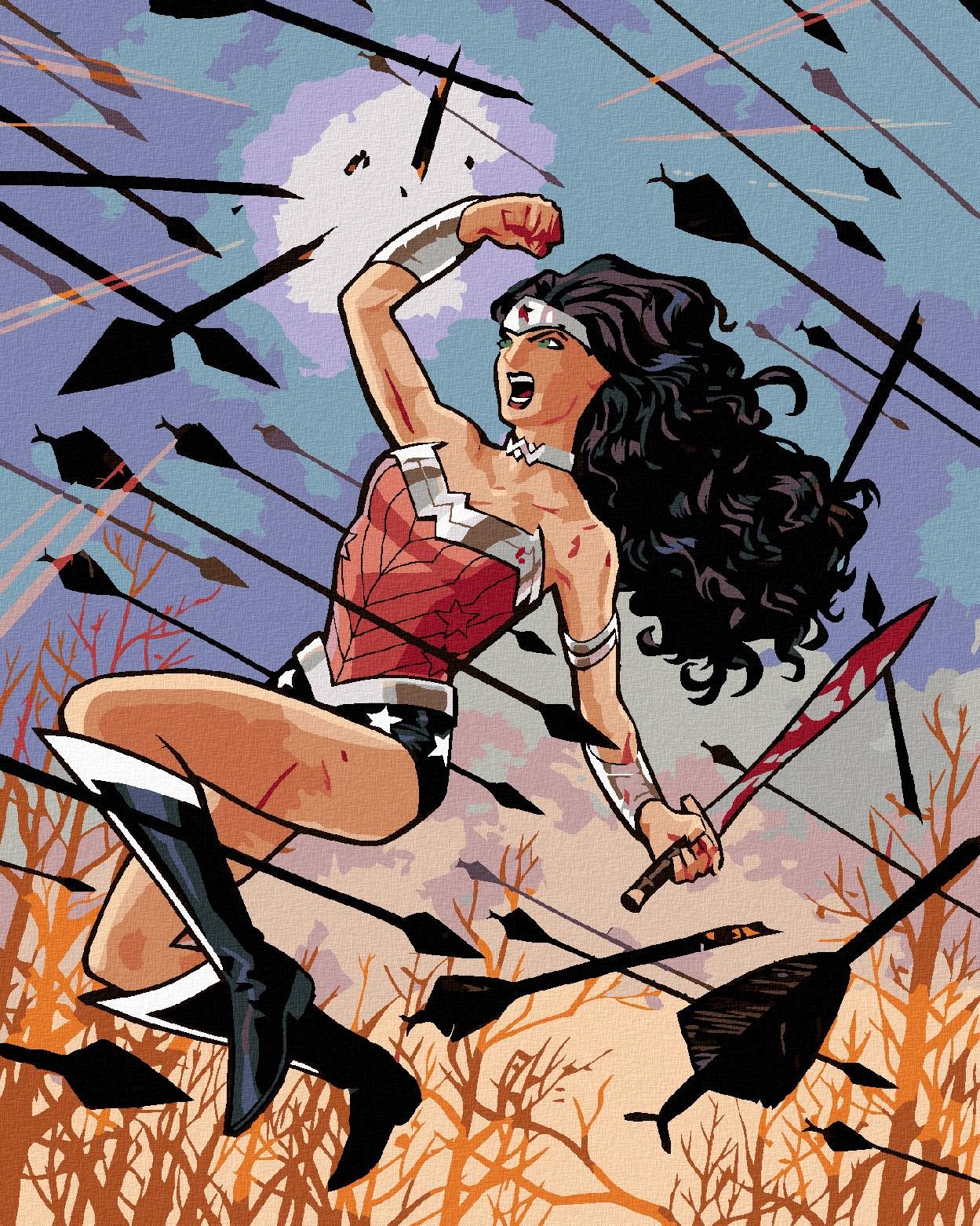 Zuty – Wonder Woman šípy, 40×50 cm, bez rámu a bez vypnutia plátna