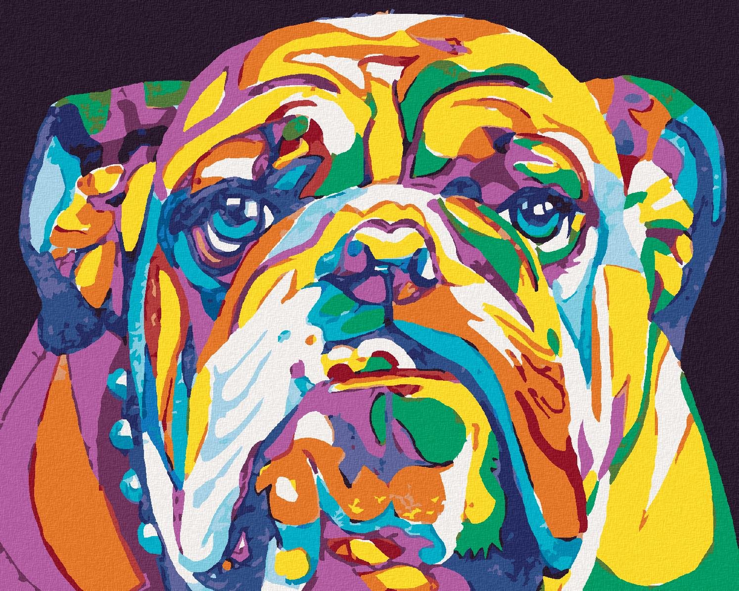 Farebný buldog, 40 × 50 cm, bez rámu a bez napnutia plátna