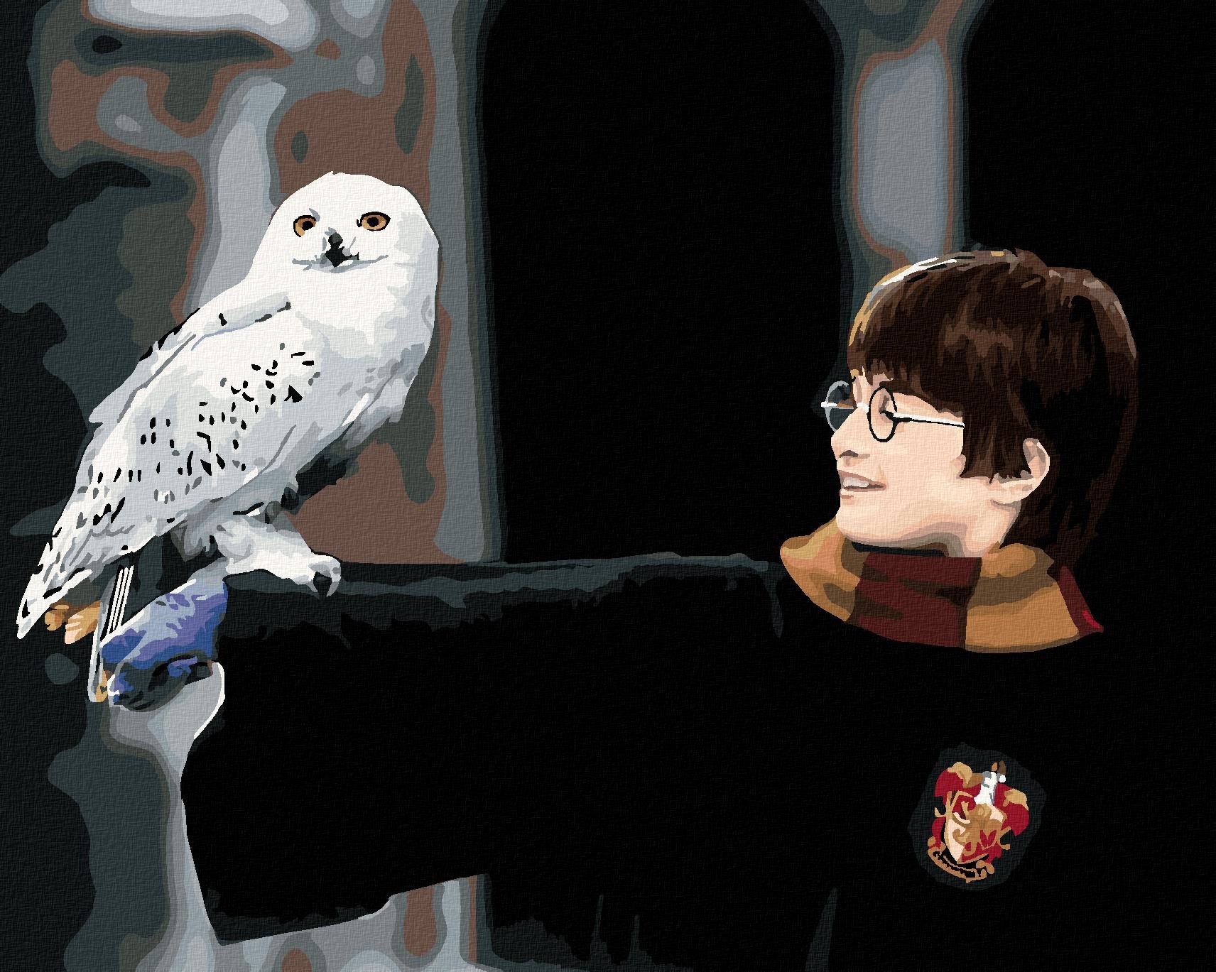 Harry Potter s Hedvigou na ruke, 40 × 50 cm, plátno napnuté na rám