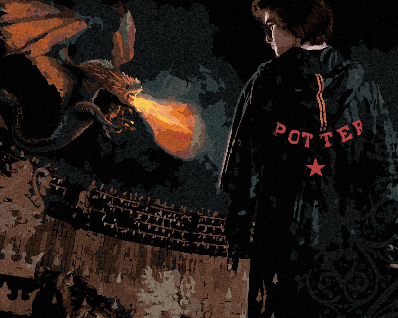 Harry Potter v aréne s drakom, 40 × 50 cm, plátno napnuté na rám