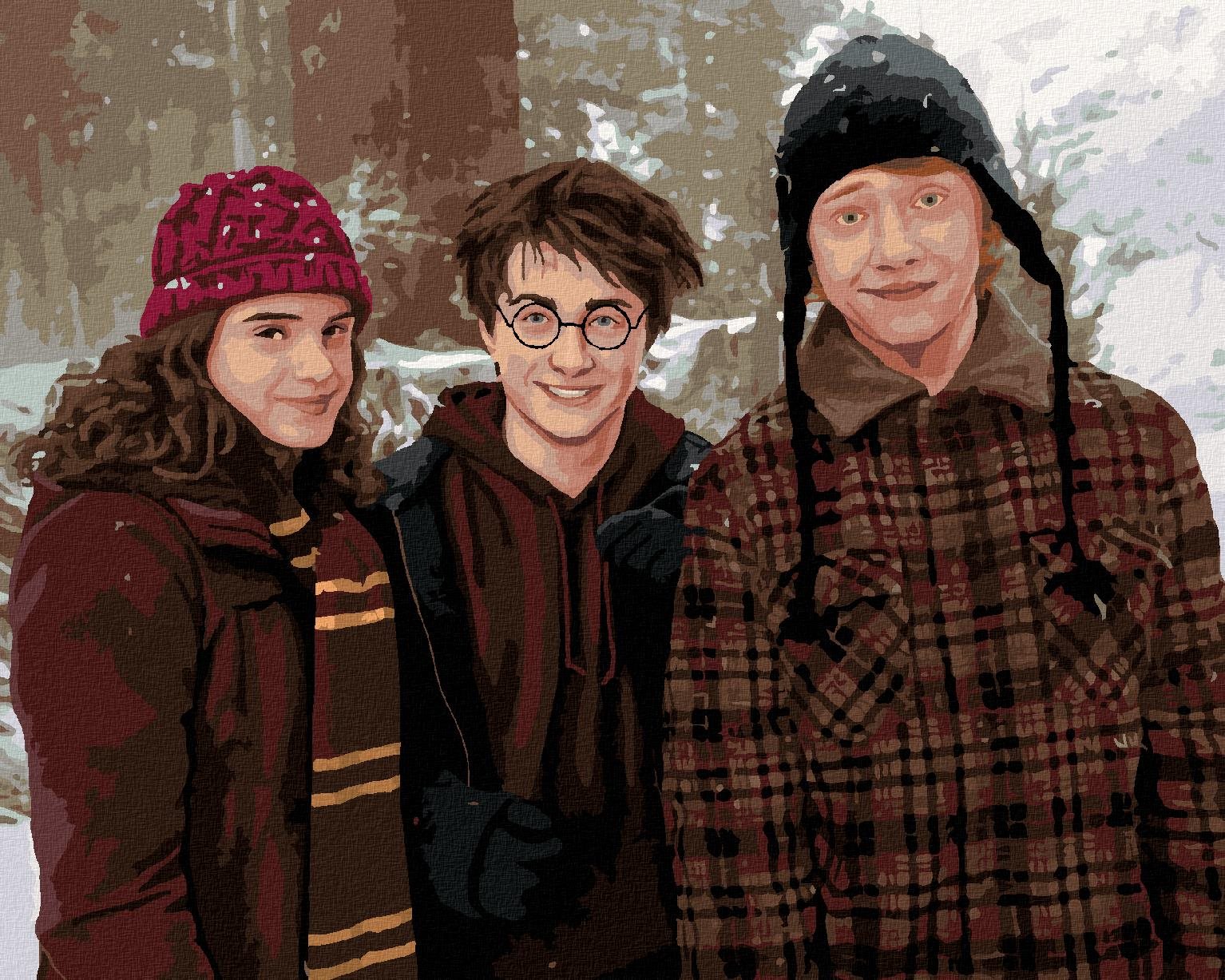 Harry Potter, Hermiona a Ron v zasneženej krajine, 40×50 cm, bez rámu a bez vypnutia plátna