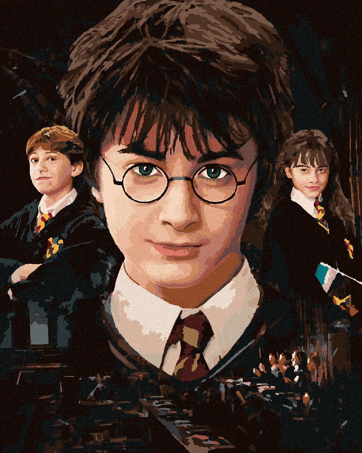 Harry Potter, Hermiona a Ron, 40×50 cm, bez rámu a bez vypnutia plátna