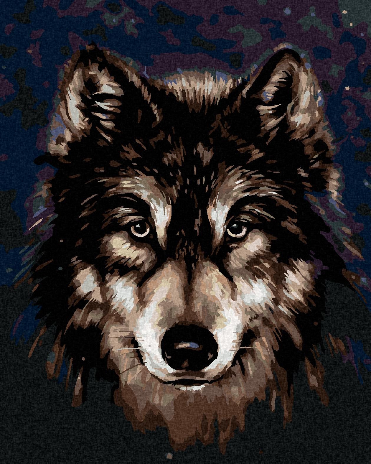 Hlava huskyho na tmavom pozadí, 80×100 cm, vypnuté plátno na rám