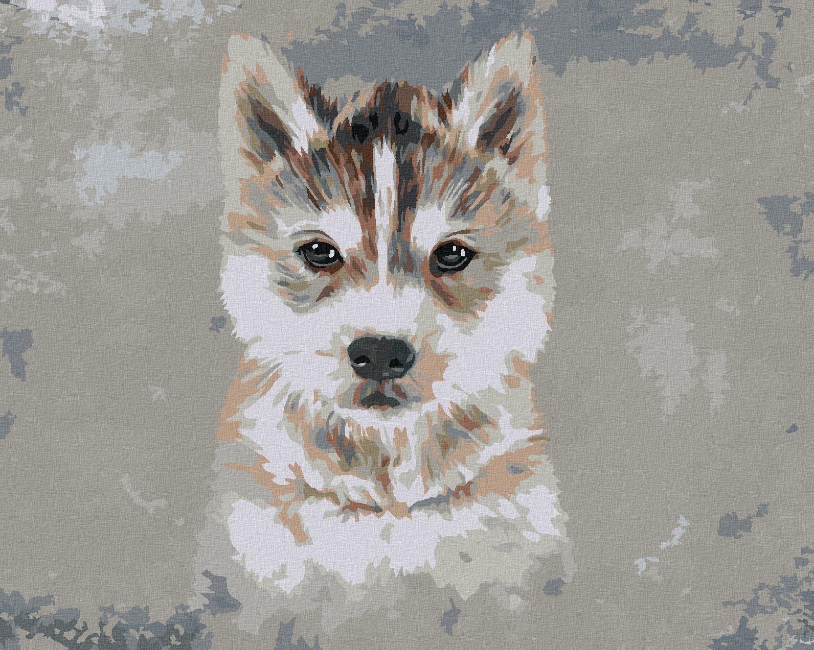 Husky na sivom pozadí, 40 × 50 cm, plátno napnuté na rám