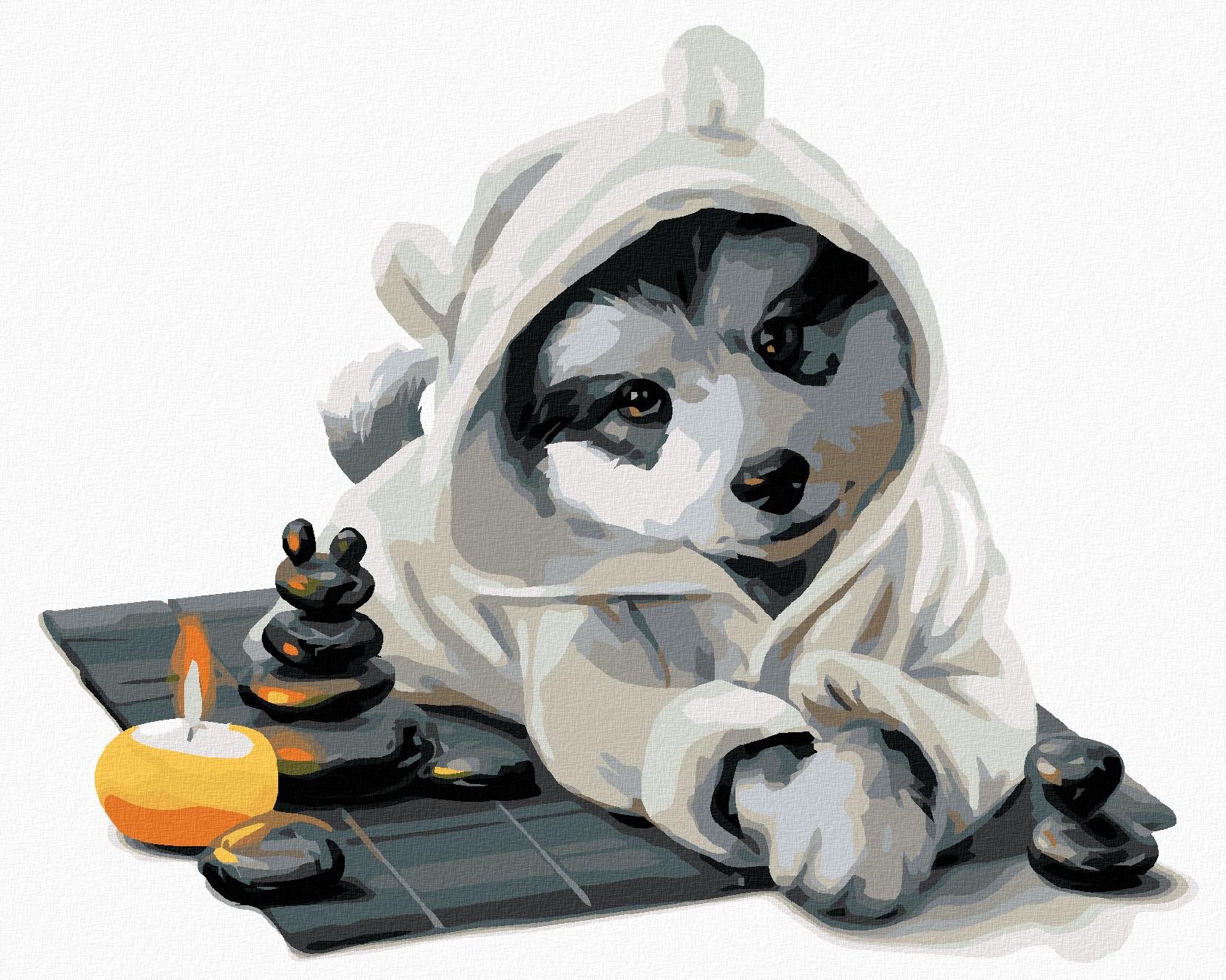 Husky relaxuje, 80×100 cm, vypnuté plátno na rám