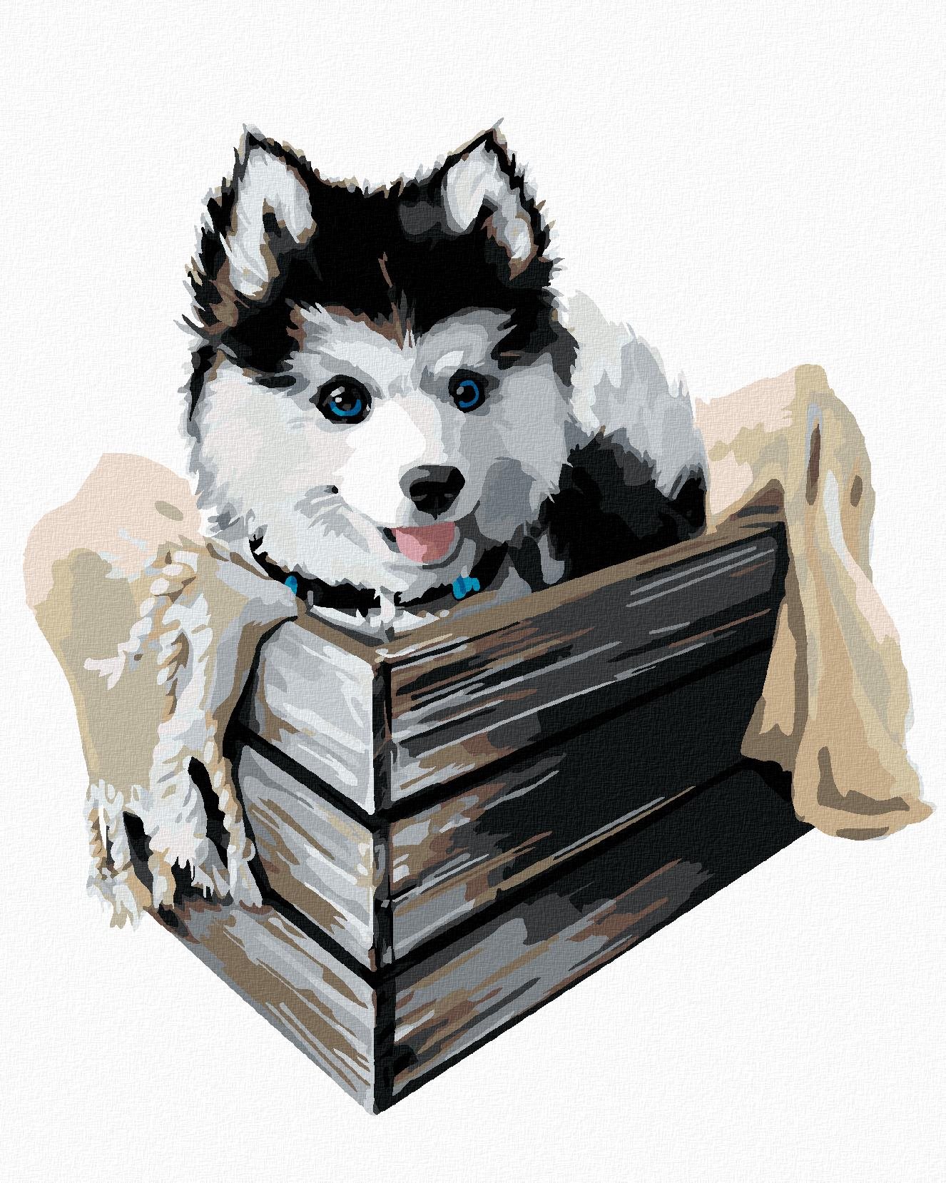 Husky v škatuli, 40 × 50 cm, bez rámu a bez napnutia plátna