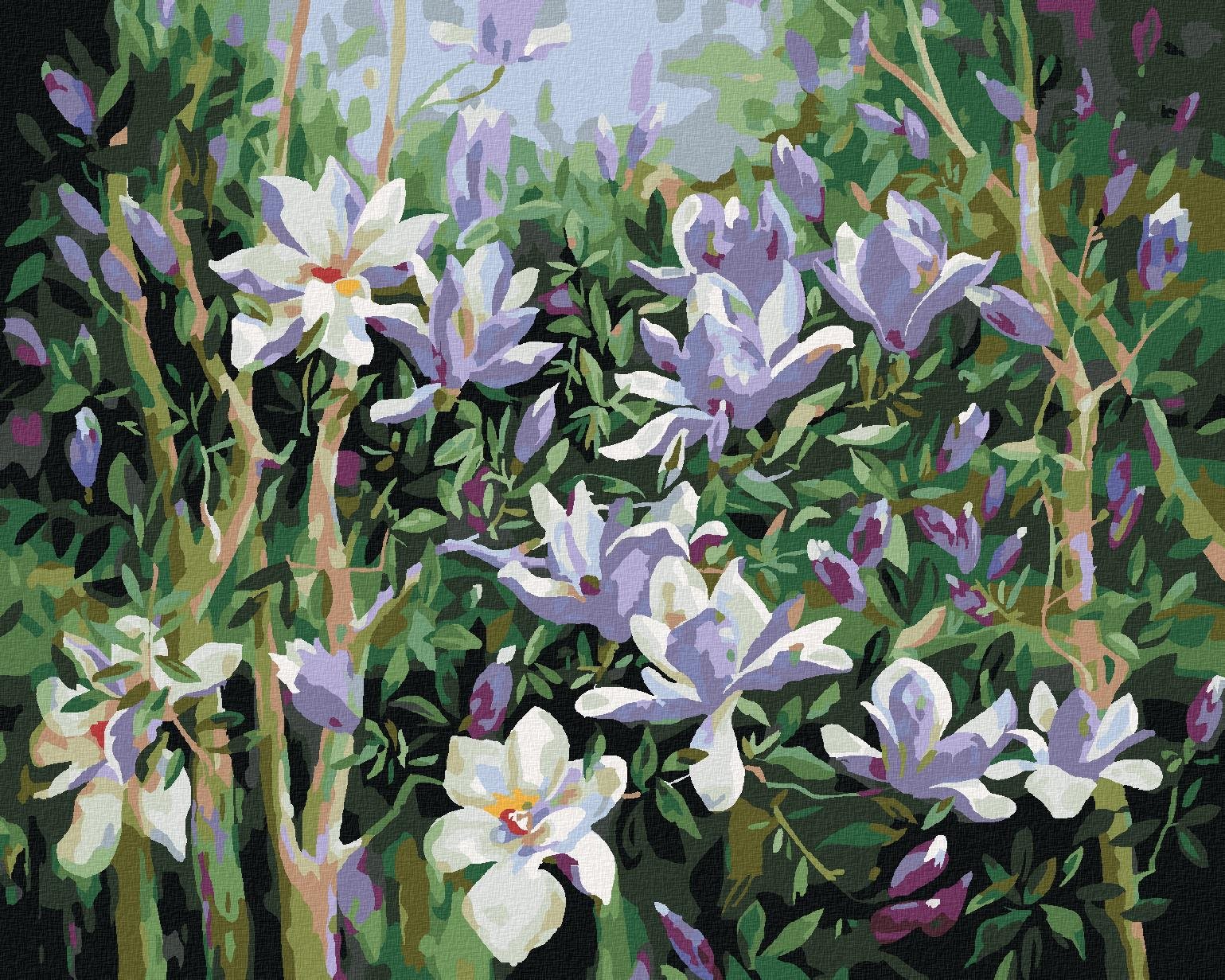 Jarná magnólia, 80 × 100 cm, bez rámu a bez napnutia plátna