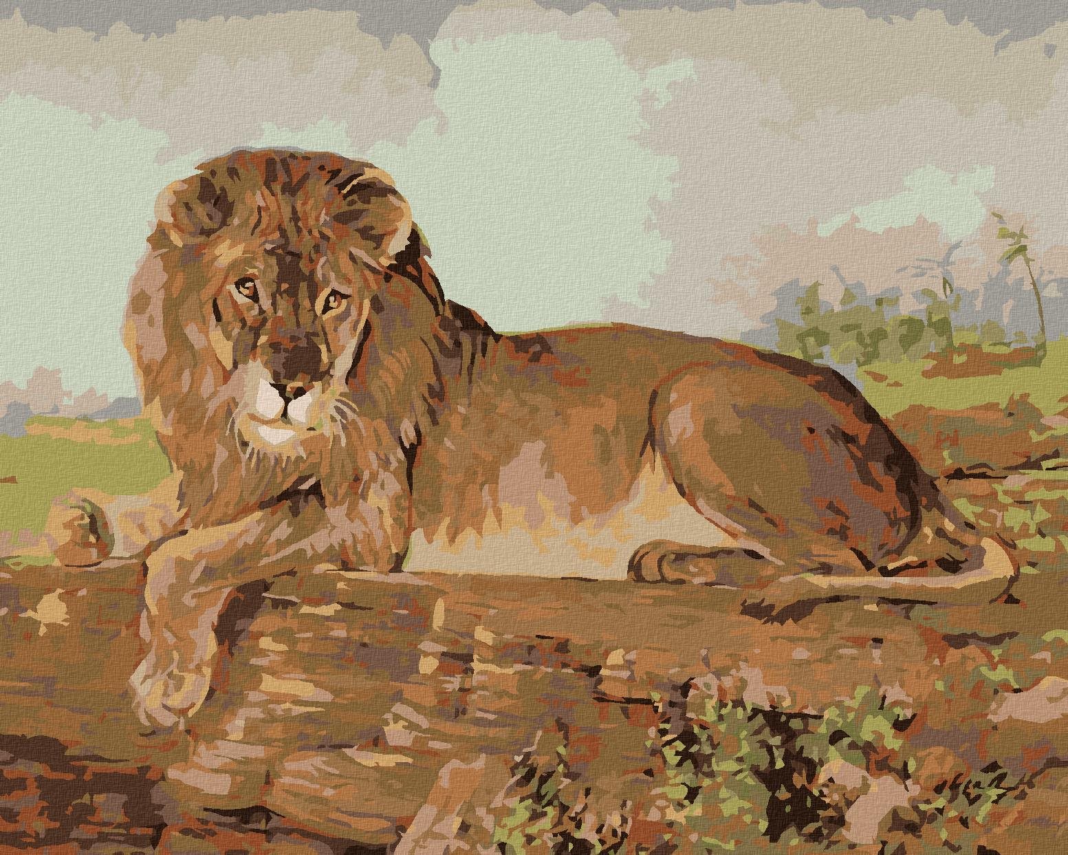 Lev na savane, 80 × 100 cm, plátno napnuté na rám